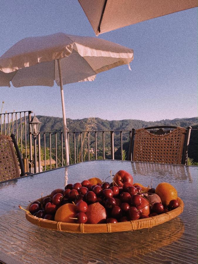 La Pianella Farmhouse 卢卡 外观 照片