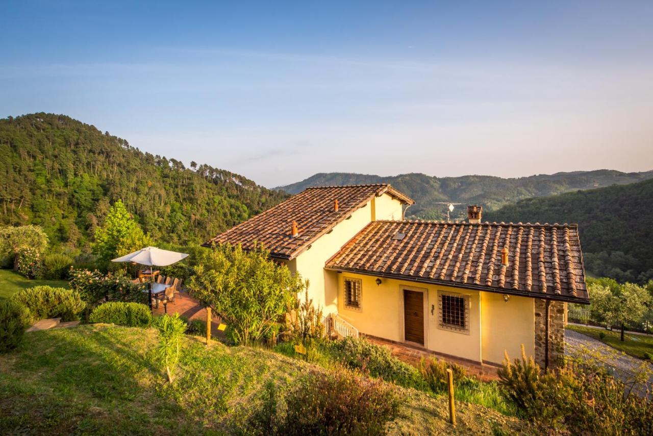 La Pianella Farmhouse 卢卡 外观 照片
